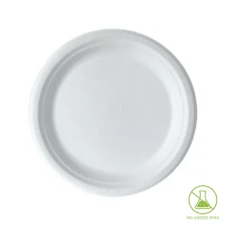 9 Inch Sugarcane Plate
