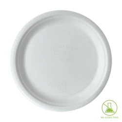 10 Inch Sugarcane Plate