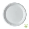 10 Inch Sugarcane Plate