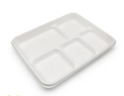 5 Compartment Sugarcane Tray